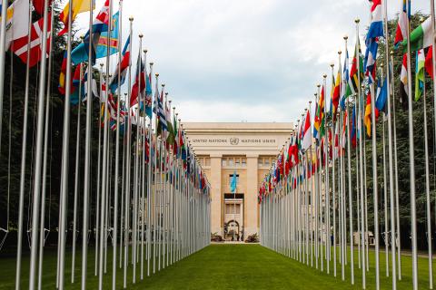 ONU bâtiment et drapeaux